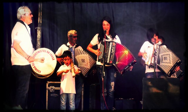 concertinas04a